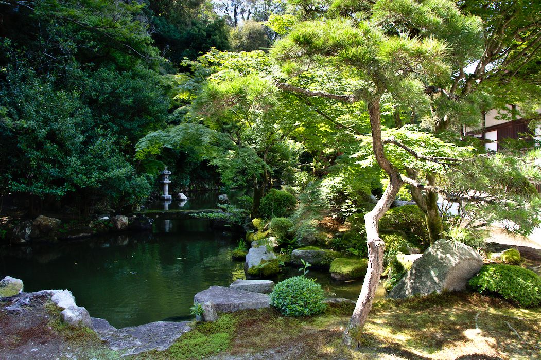 jardin nippon